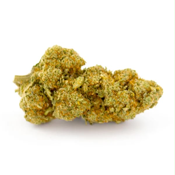 Pink Shark CBD - Fleurs CBD đđż
