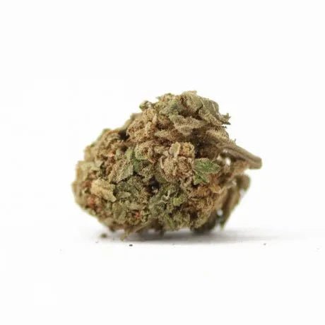 Cherry Pie - Fleurs de CBD 🍒 - La Maison Du Canab