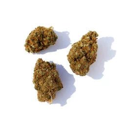 Cherry Pie - Fleurs de CBD 🍒 - La Maison Du Canab