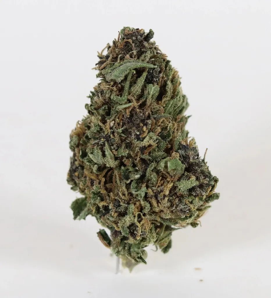Purple Haze - Fleurs de CBD 💜 🌿 - La Maison Du Canab