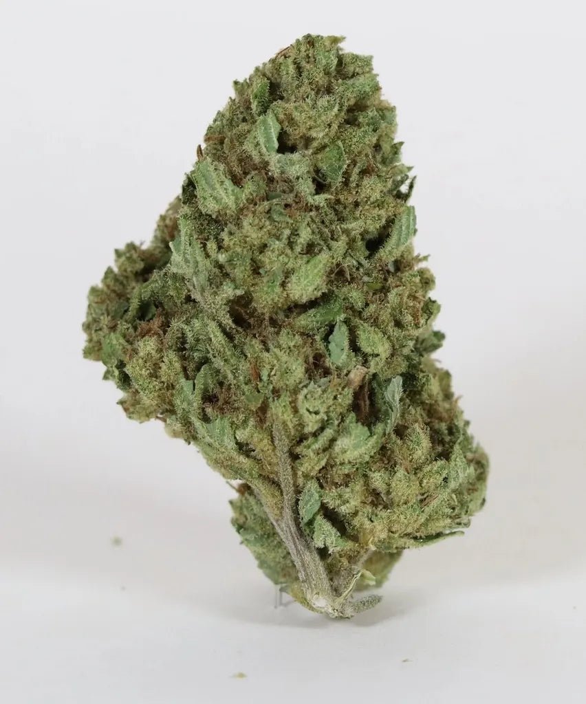 White OG - Fleurs de CBD 🌿 - La Maison Du Canab