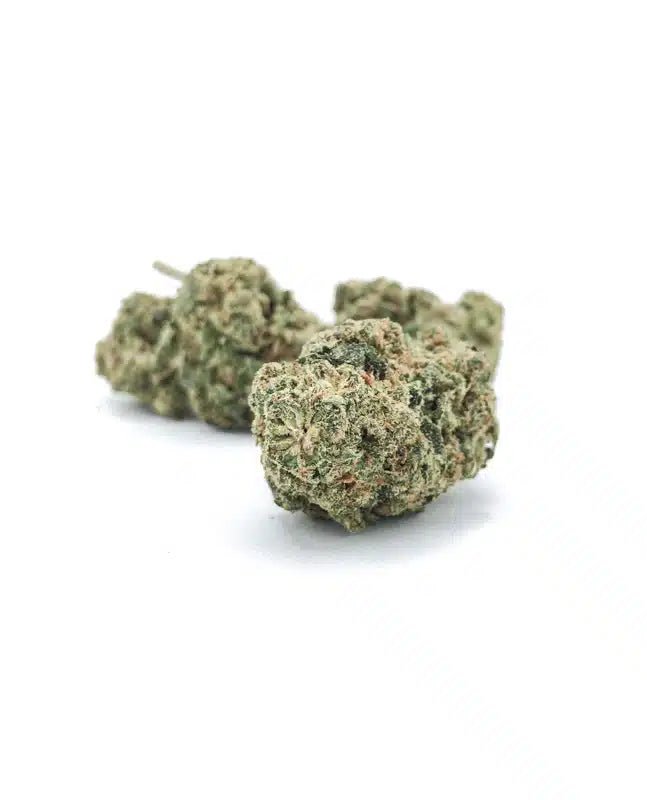 Zkittlez - Fleurs de CBD 🌈🌿 - La Maison Du Canab