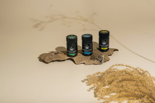 Avantages et inconvénients du CBD comparés - La Maison Du Canab