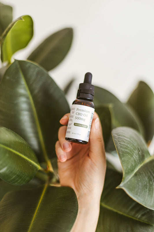 CBD et huiles essentielles : une combinaison gagnante? - La Maison Du Canab