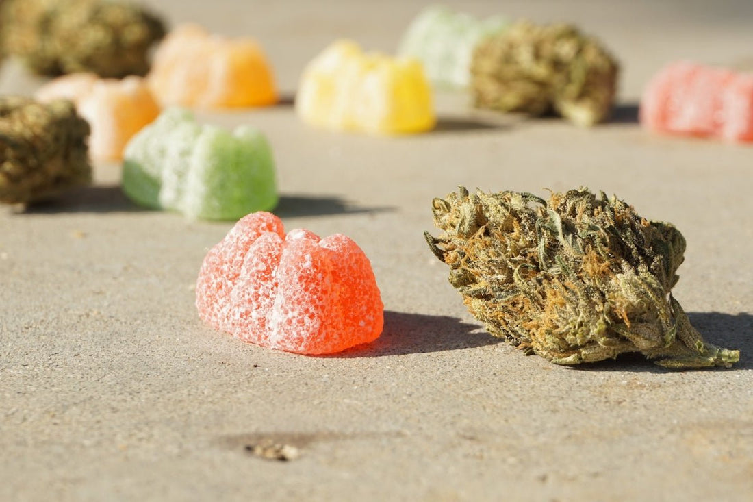 Guide éducatif : Comment le CBD interagit avec le corps humain - La Maison Du Canab
