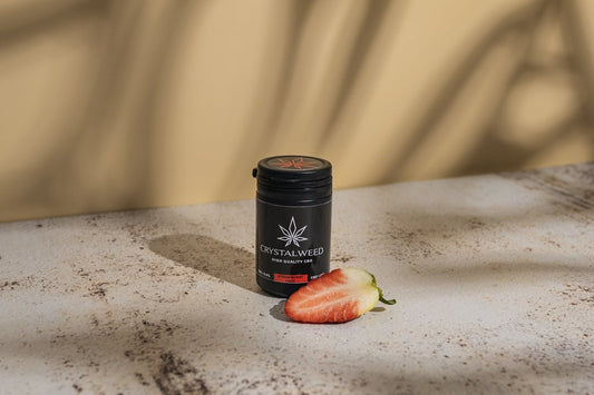 Guide ultime du CBD: du choix du produit à la consommation - La Maison Du Canab