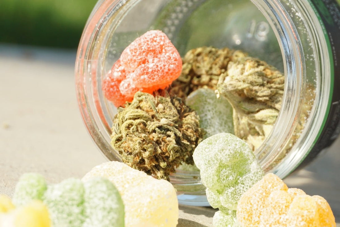 Histoire et législation actuelle du CBD en Europe - La Maison Du Canab