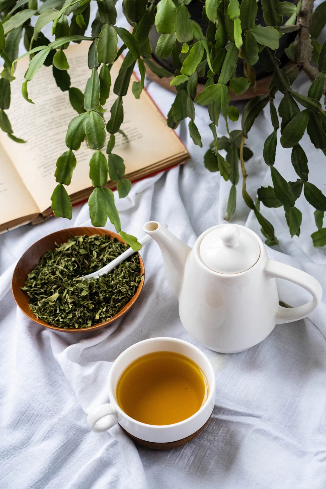 Infusions et tisanes CBD pour une détente optimale - La Maison Du Canab