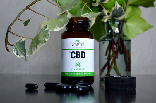 Les bienfaits essentiels du CBD pour un mode de vie équilibré - La Maison Du Canab