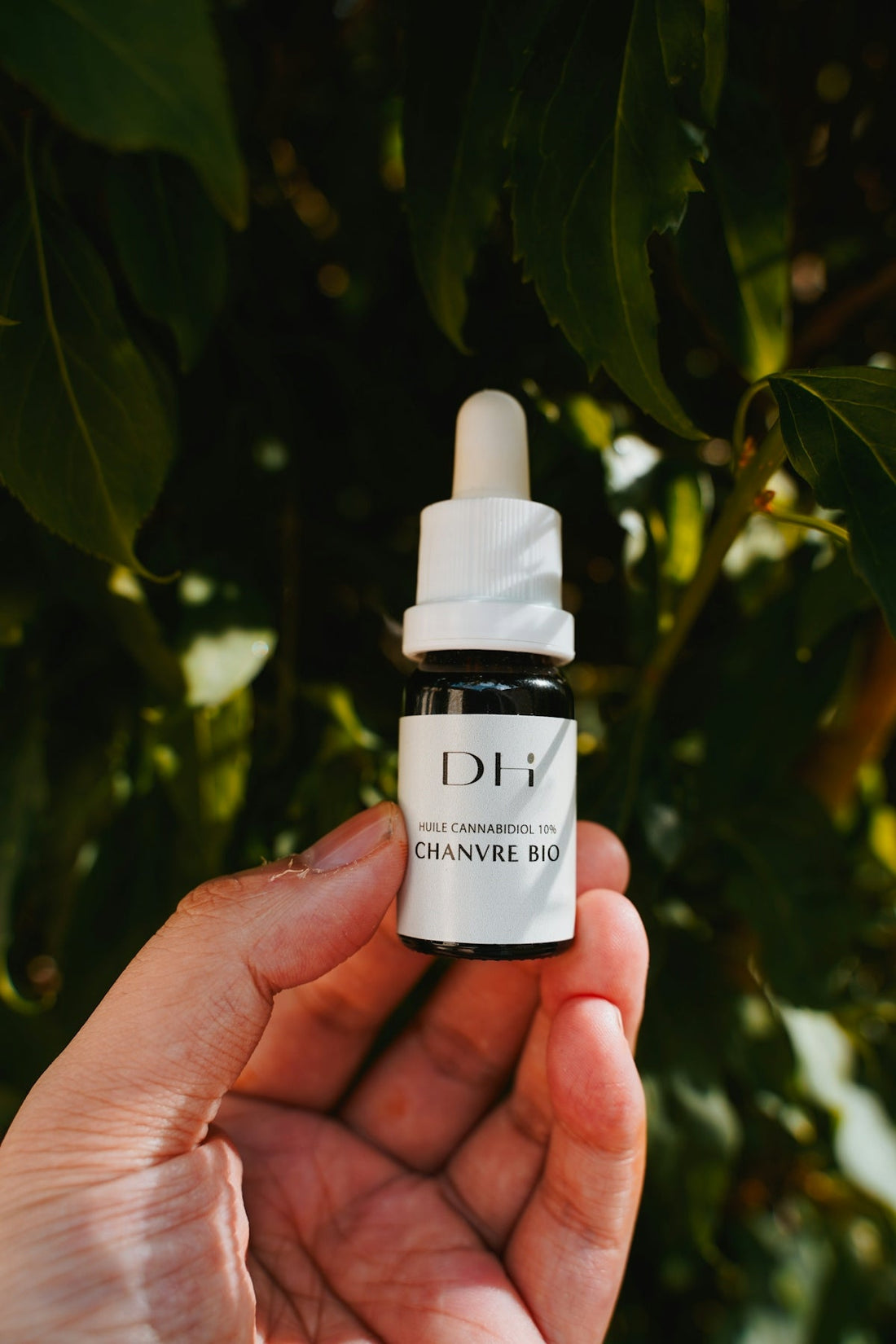 Les différences clés entre le CBD et le THC expliquées simplement - La Maison Du Canab