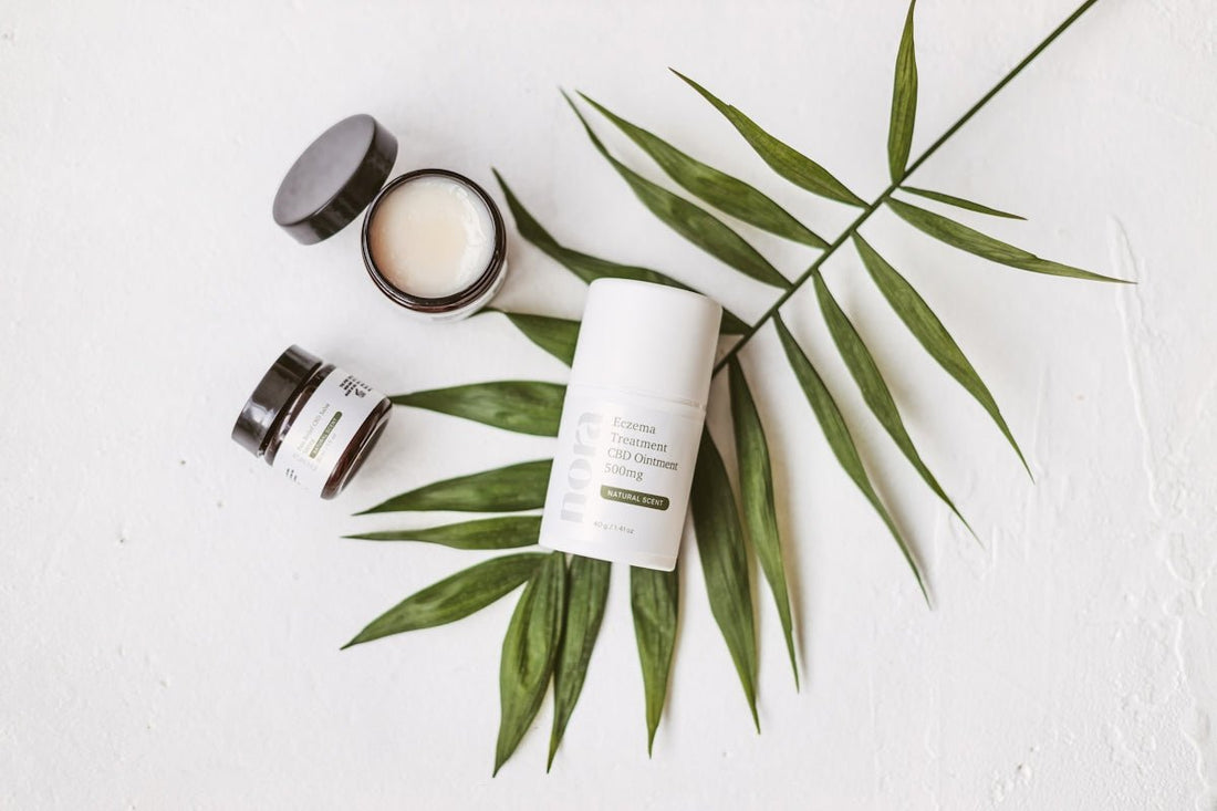 Les secrets pour bien commencer avec le CBD - La Maison Du Canab