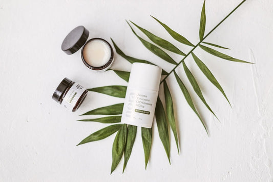 Les secrets pour bien commencer avec le CBD - La Maison Du Canab