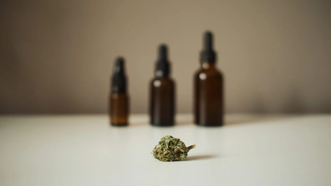 CBD, THC et autres cannabinoïdes  Faites le bon choix