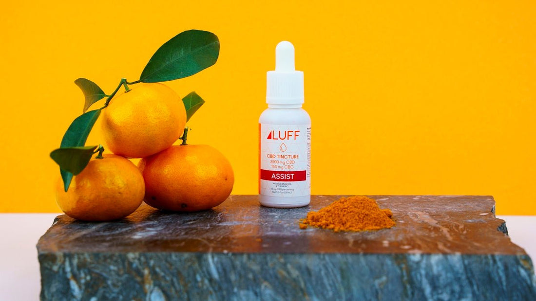 Questions essentielles à propos de l'intégration du CBD au quotidien - La Maison Du Canab