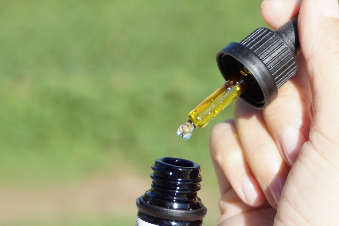 Tout savoir sur les interactions possibles entre le CBD et d'autres plantes - La Maison Du Canab