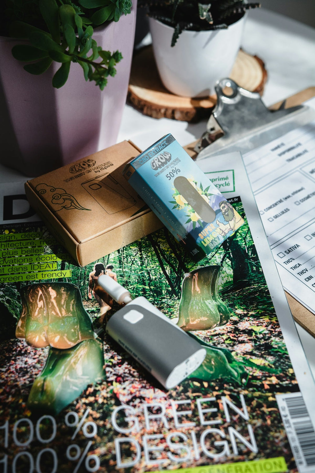 Tutoriel sur la culture de chanvre à CBD à domicile - La Maison Du Canab
