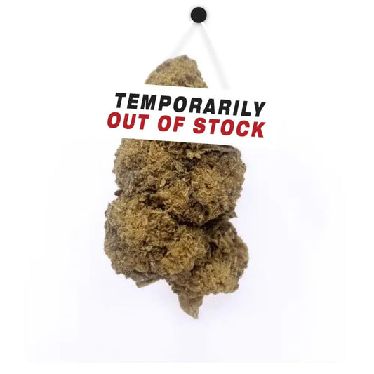 Amnesia Frozen – Fleurs de CBD ❄️ - La Maison Du Canab