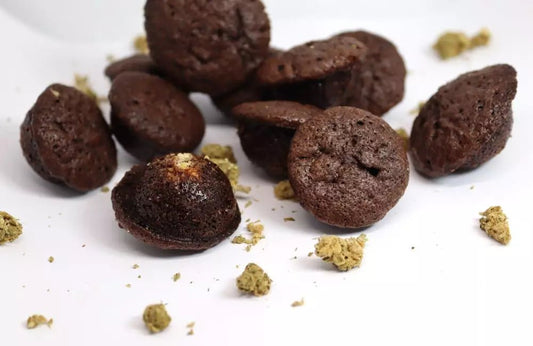 Brownies Fondants au CBD - La Maison Du Canab