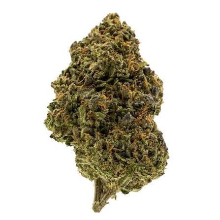 Green Crack USA GH - Fleurs CBD 🍊🌿 - La Maison Du Canab