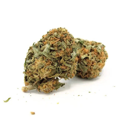 HARLEQUIN - Fleurs de CBD 🌿 🍋 - La Maison Du Canab